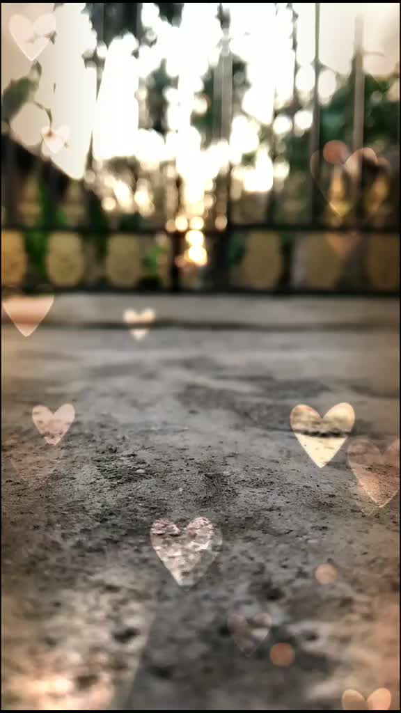 @Mon❤