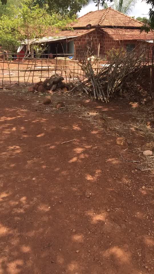 @Aamhi_kokankar_mh08