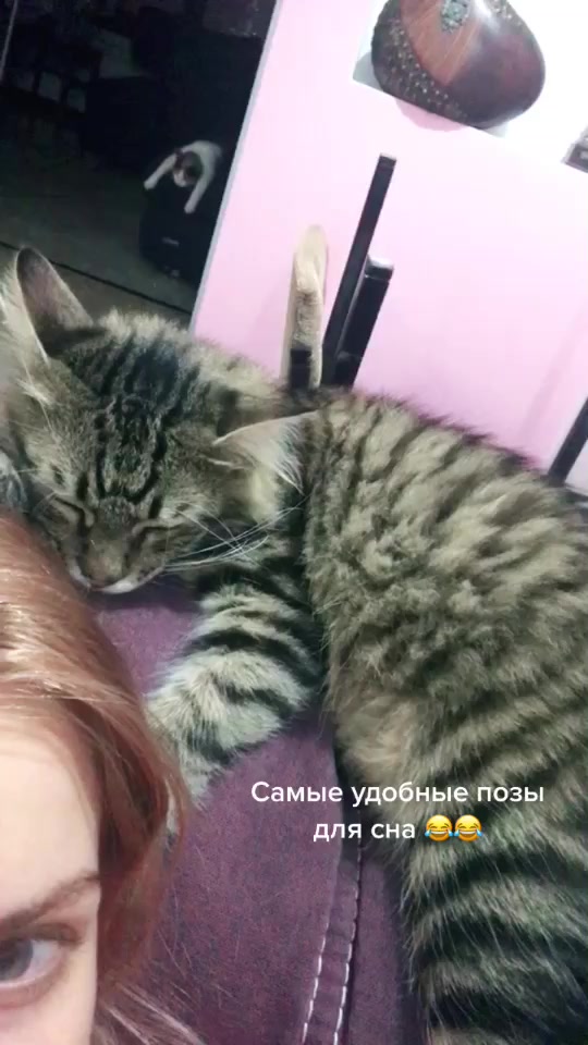 @Диана Руденко