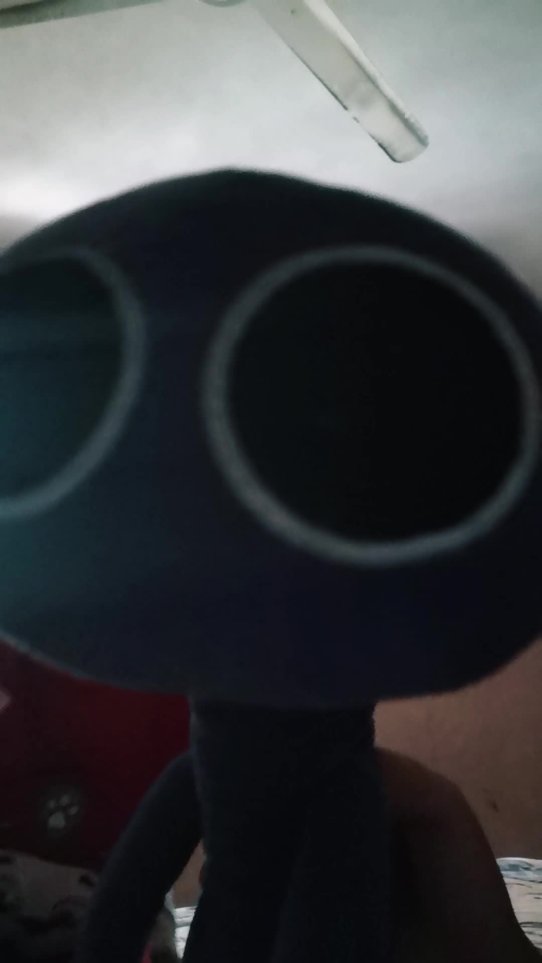 @🐈&zwj;⬛aricelesthe 20🐈&zwj;⬛