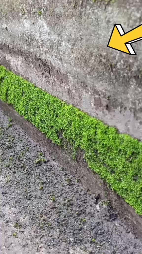 @Yasar Kodali Paruthini Kadan