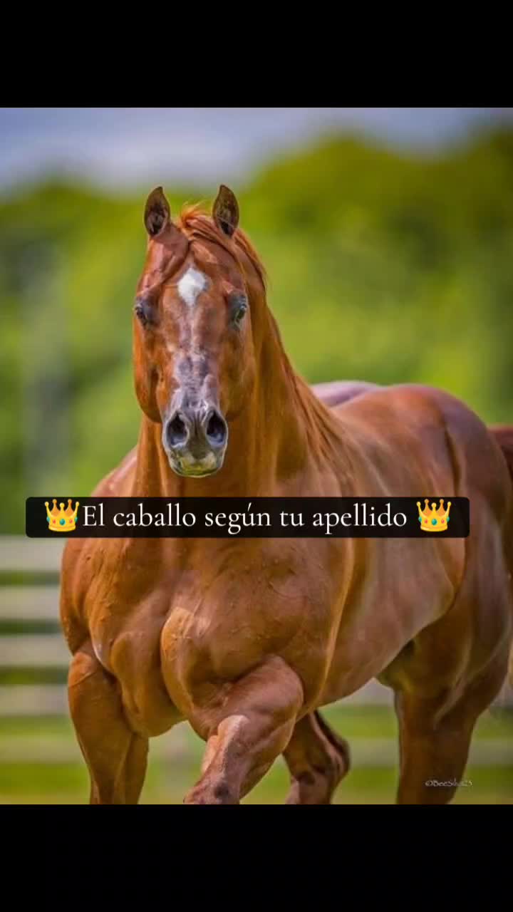 @Guillermo⚡☘️