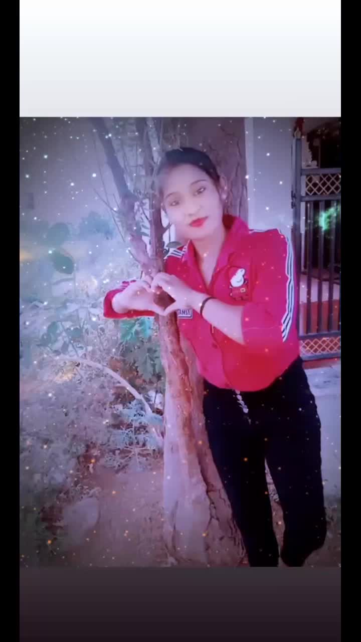 @shital todar