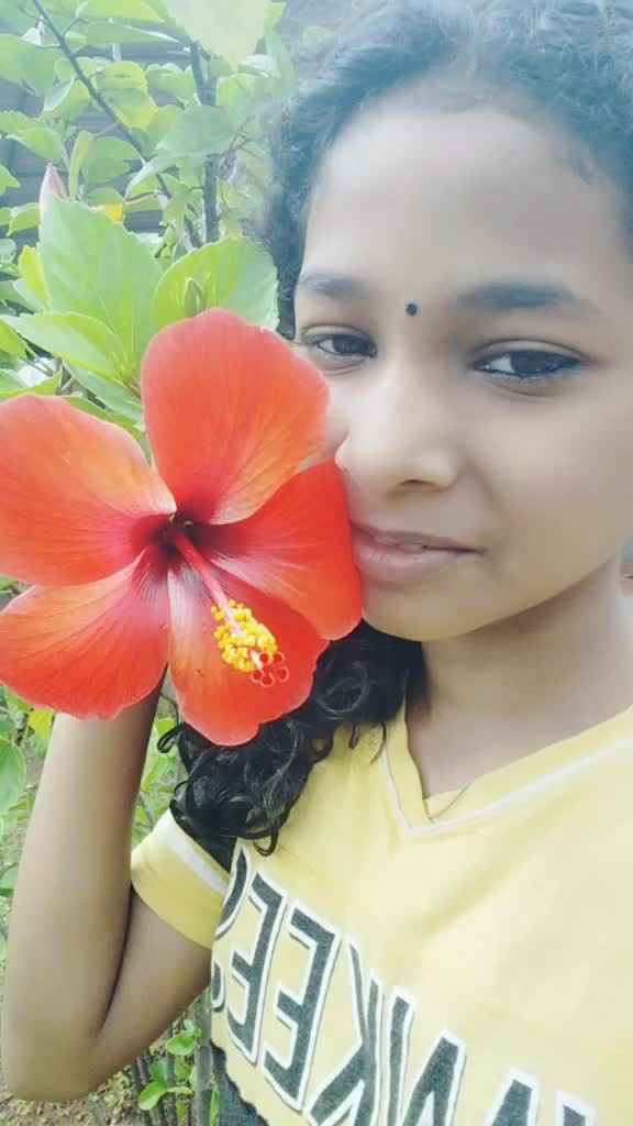 @user9237092127571