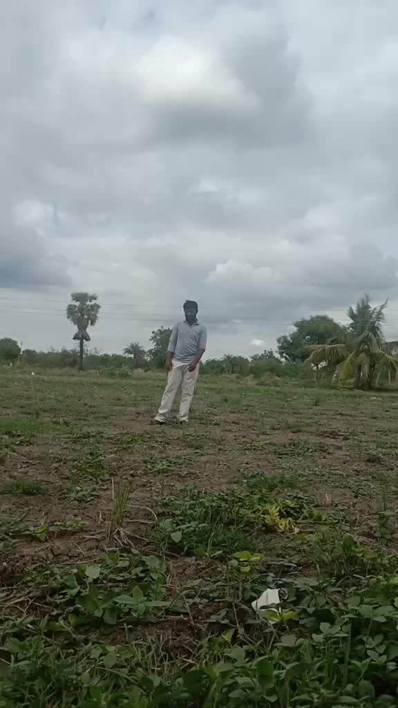 @user36839384401