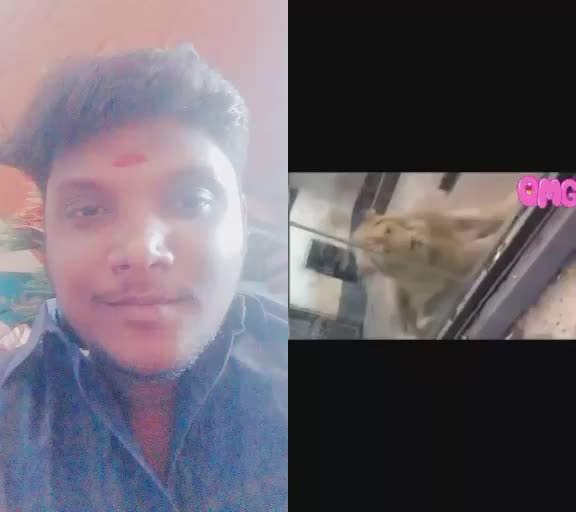 @manibala