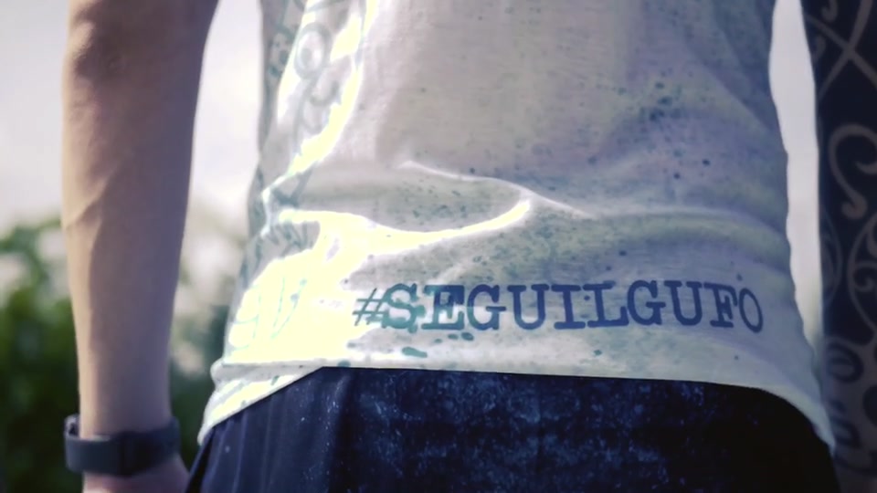 @#seguilgufo 🦉