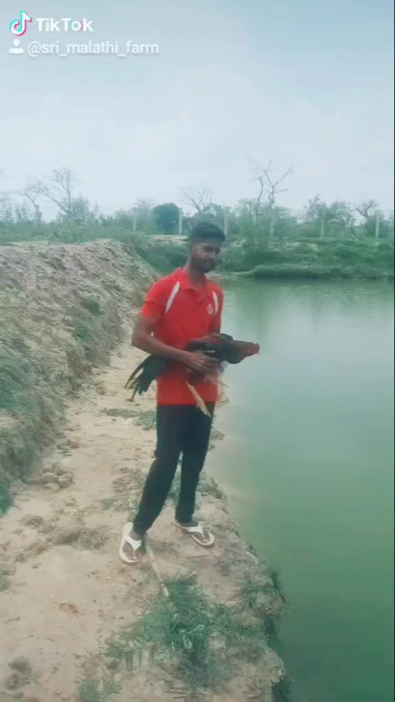 @user5047011677352