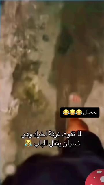 @عموري
