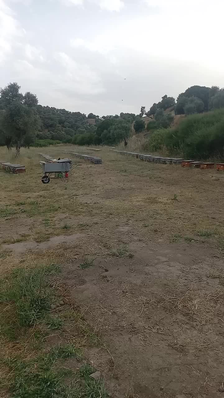 @OKAN_09