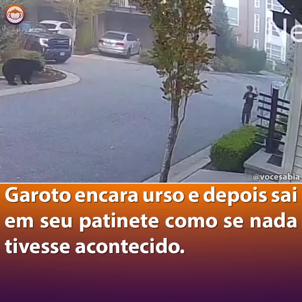 @Você Sabia?