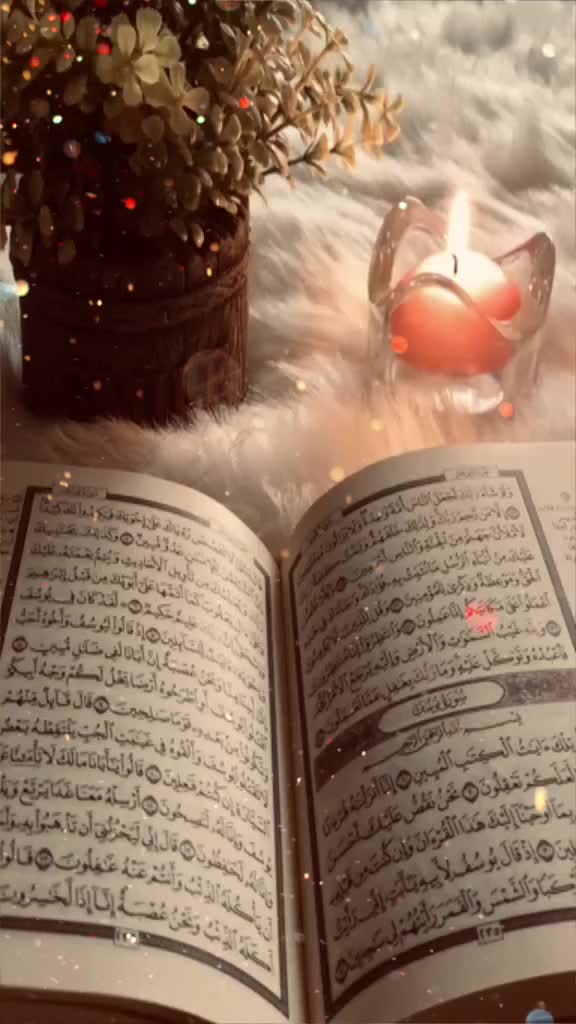 @hadiamehar28
