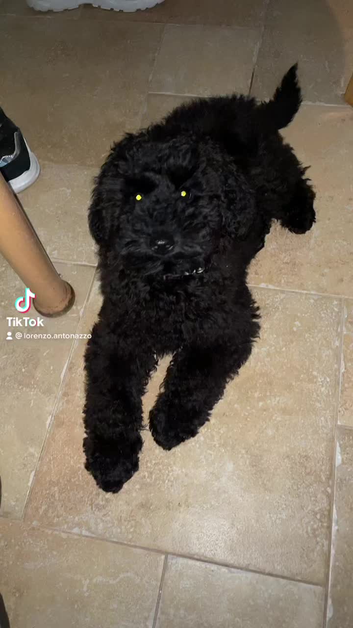 @lorenzo.antonazzo