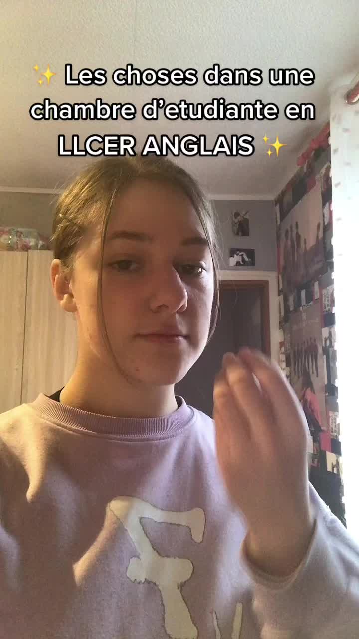 @Stella&ensp;🦩