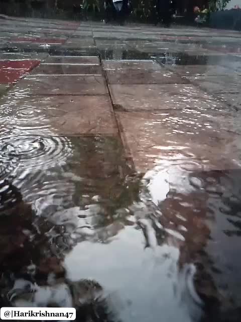 @Hari Krishnan