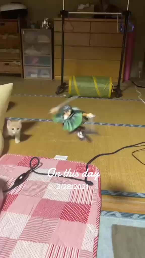 @animetoonsjapanHn