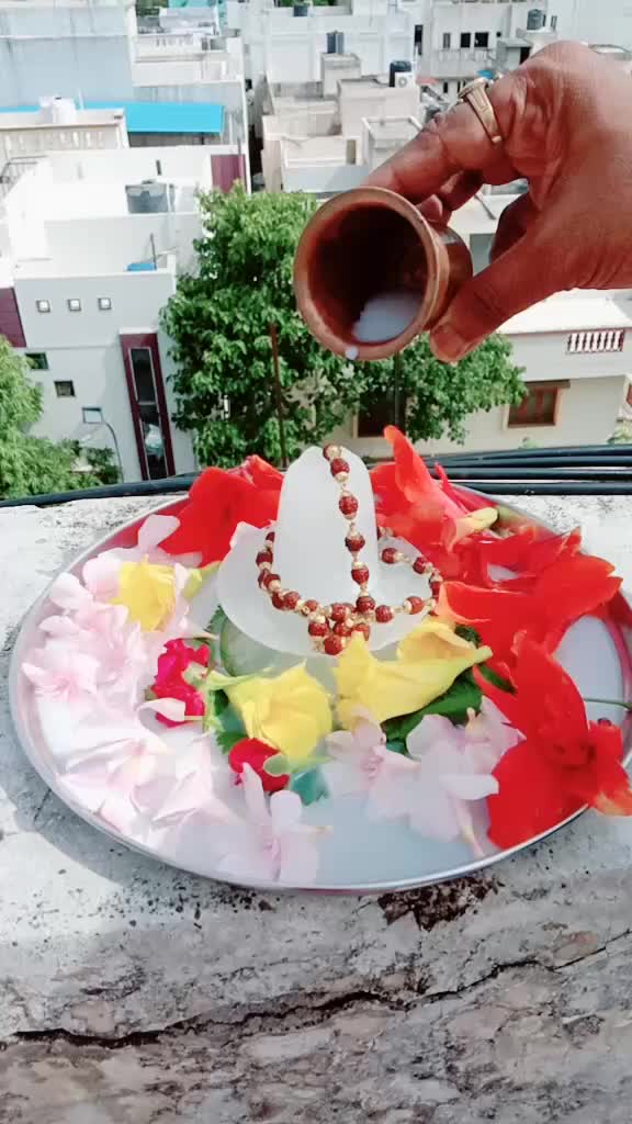 @alkavijaysurve143
