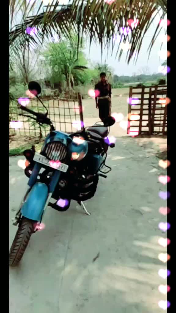@user20296293261