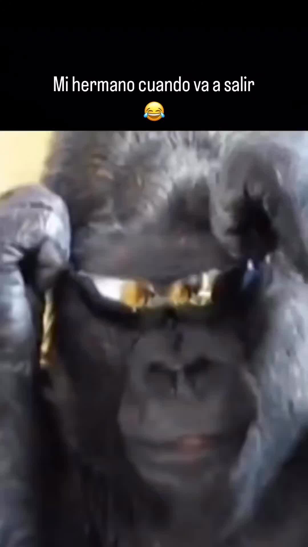 @Carlos La Loba Vazqu