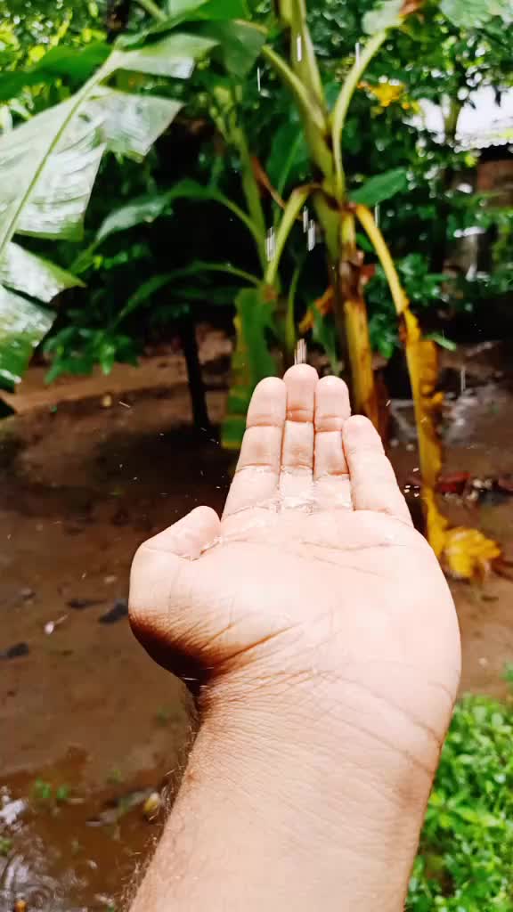 @vishnu kr