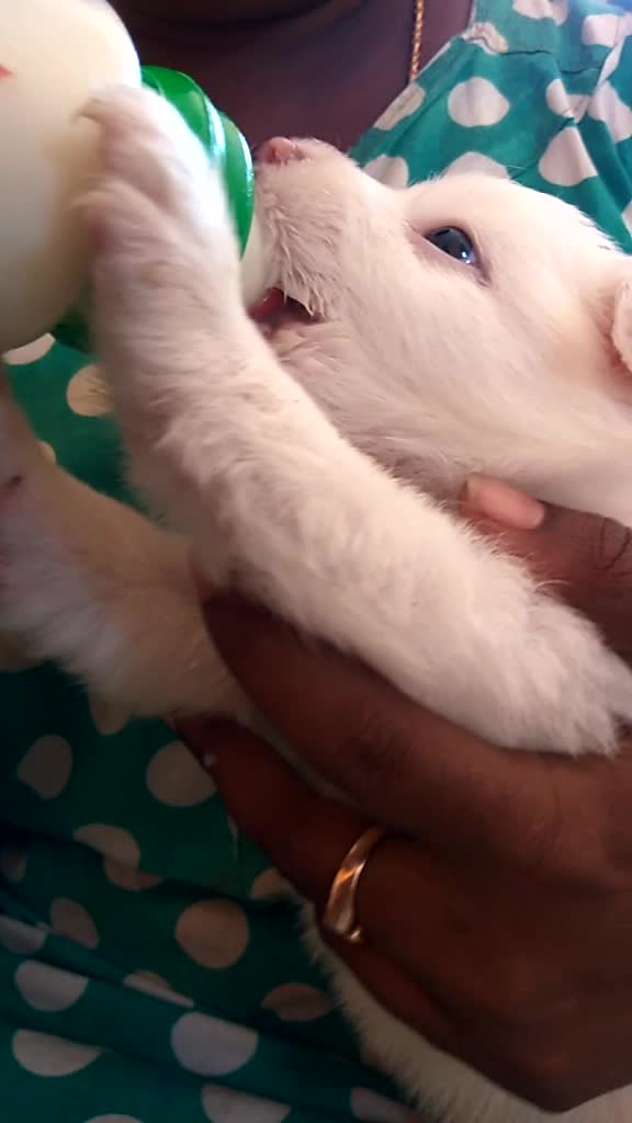 @ರವಿ ಕನ್ನಡಿಗ