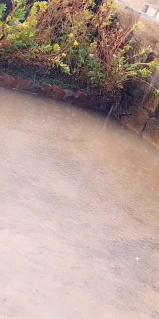 @kaju_99