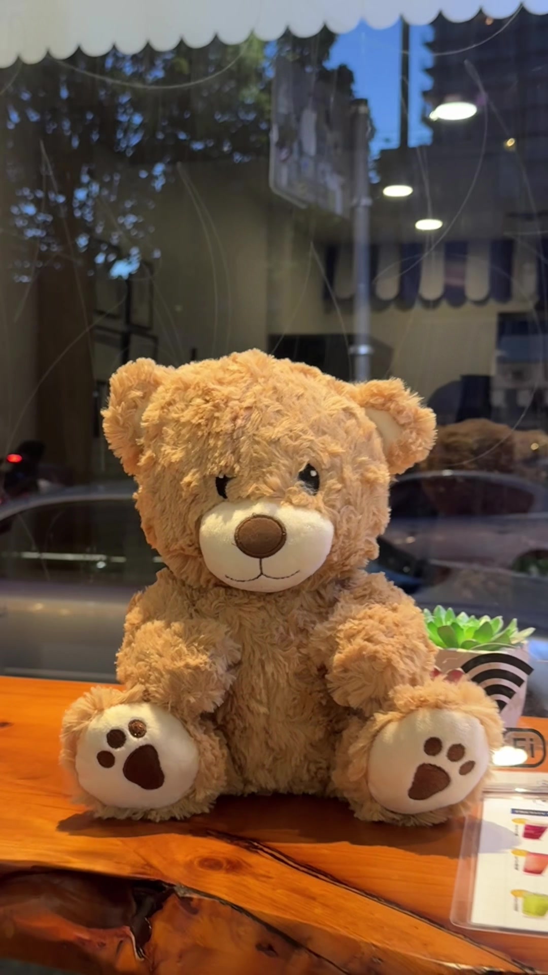 @🧸 Pookie Wookie Woo Bear 🧸