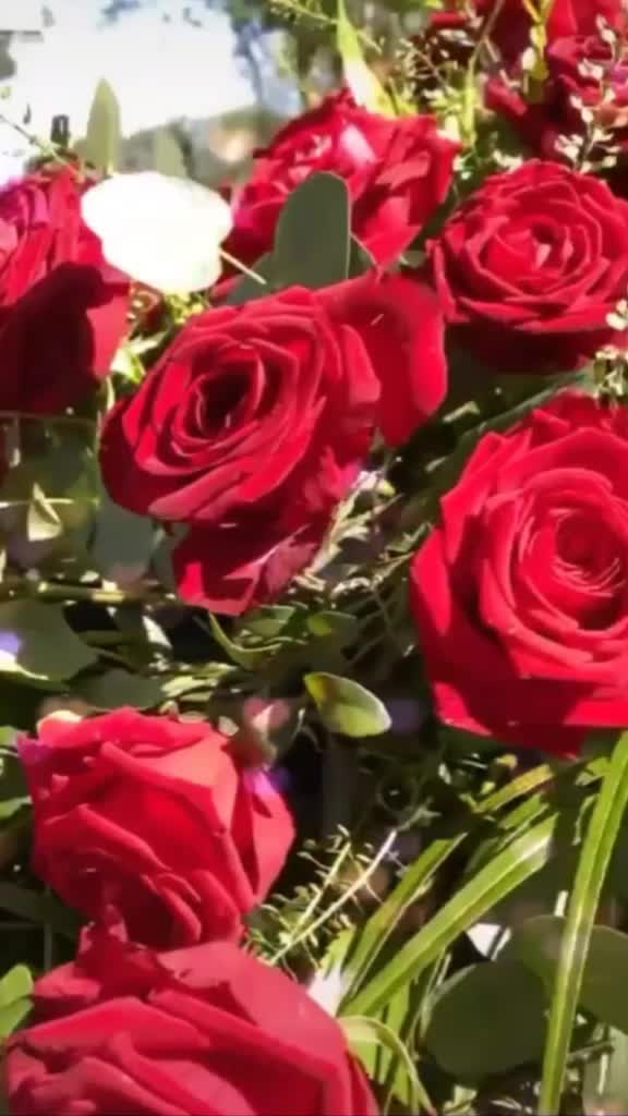 @🎶💕PAYAL💕🎶