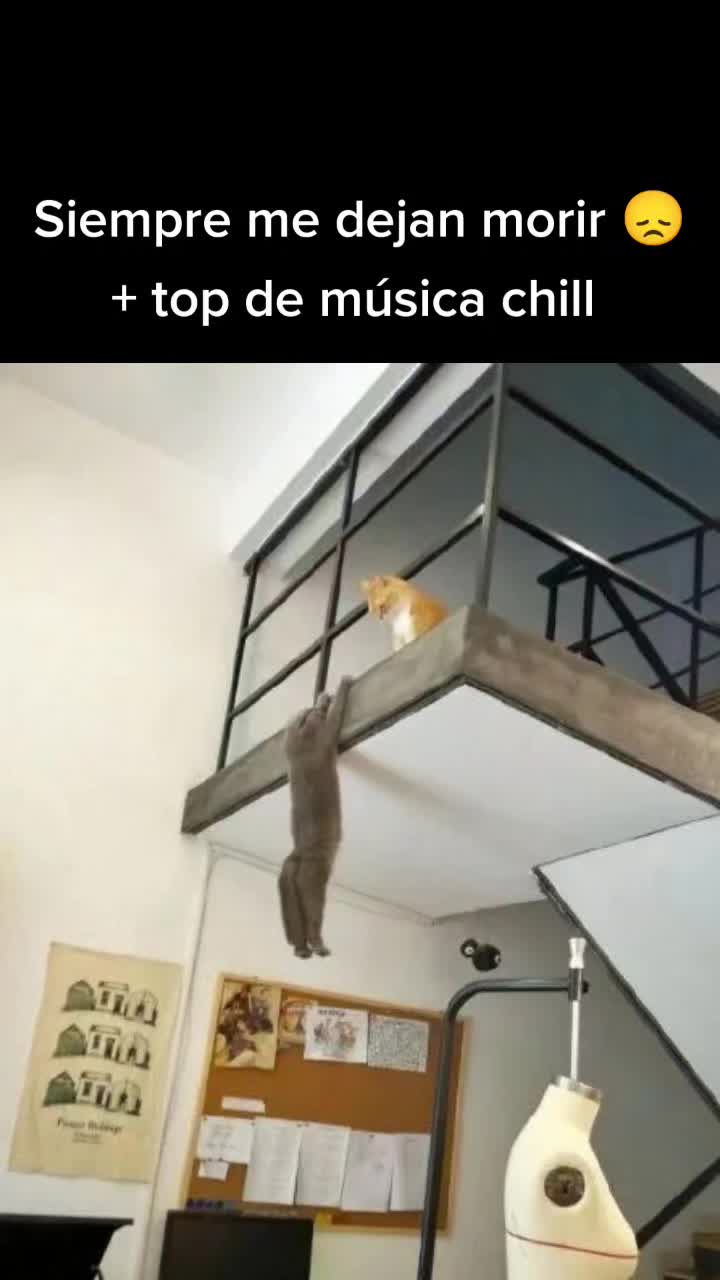 @moonztyle