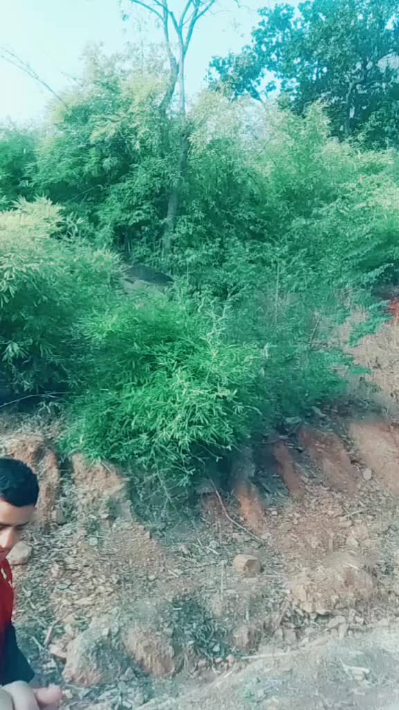 @🦁Vipin rajput 🦁