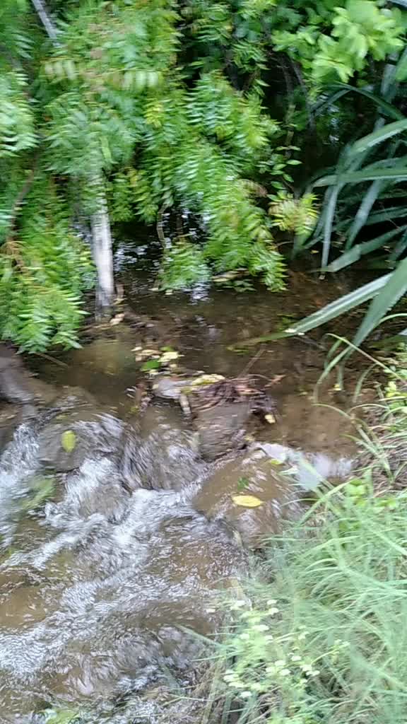 @Datta Lavte 0457
