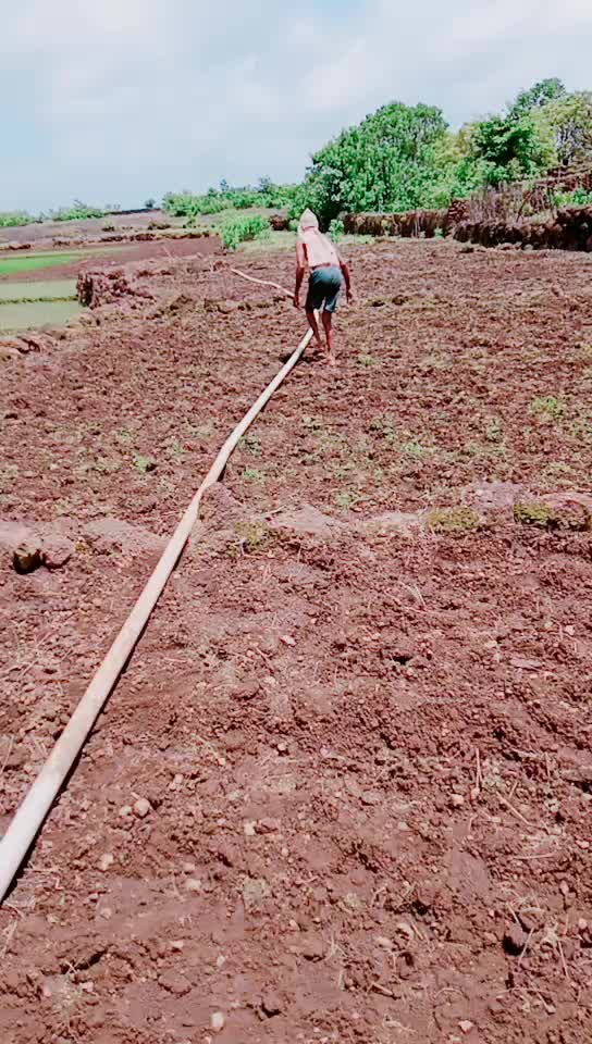 @konkanchi Pari🧚♂