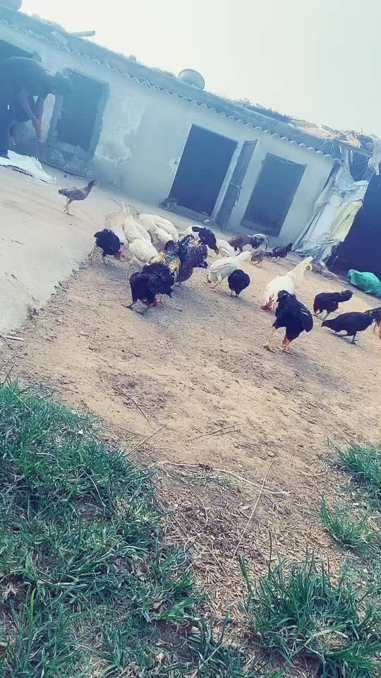 @user74263107379