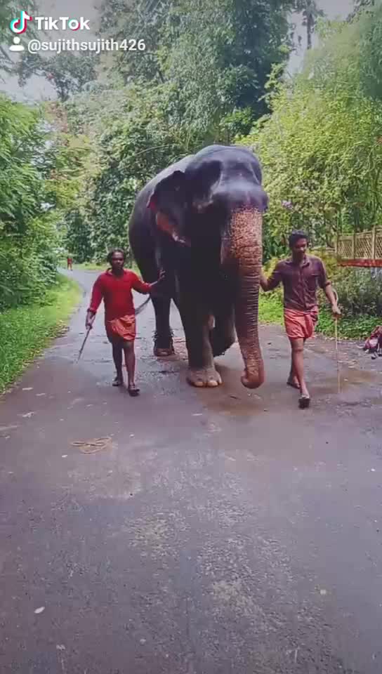 @sujith babu