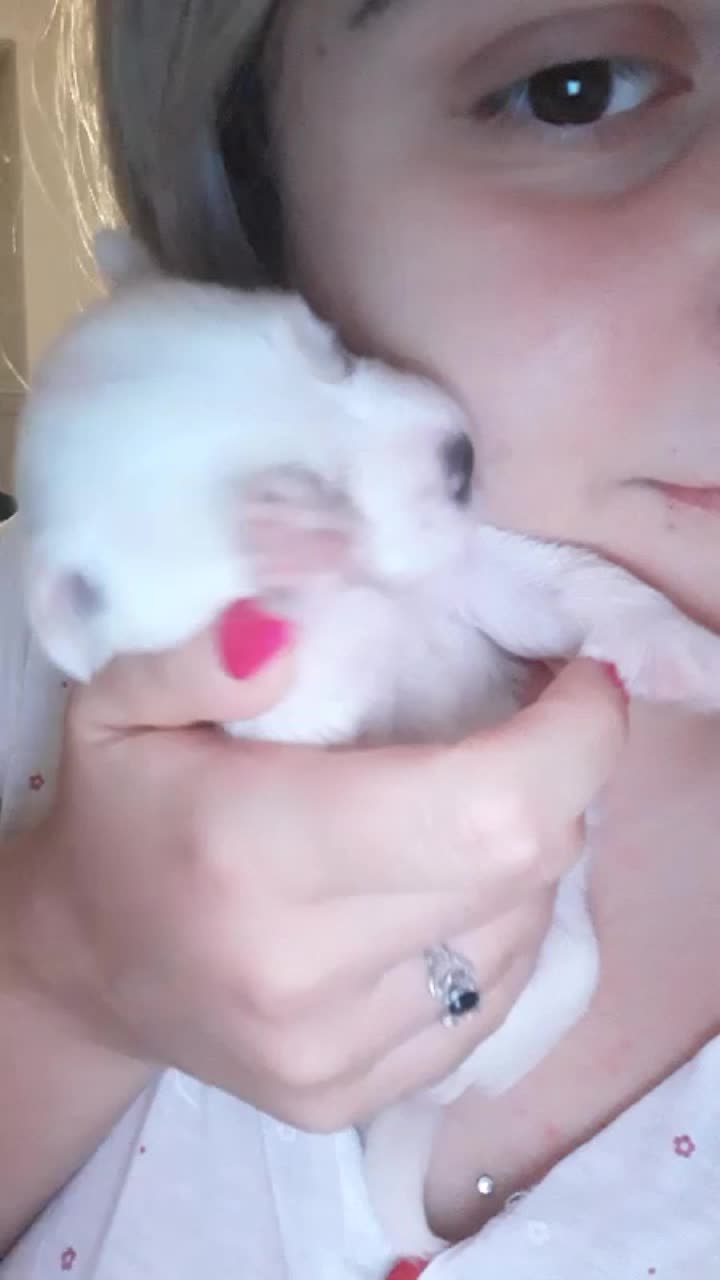 @cate con la kappa