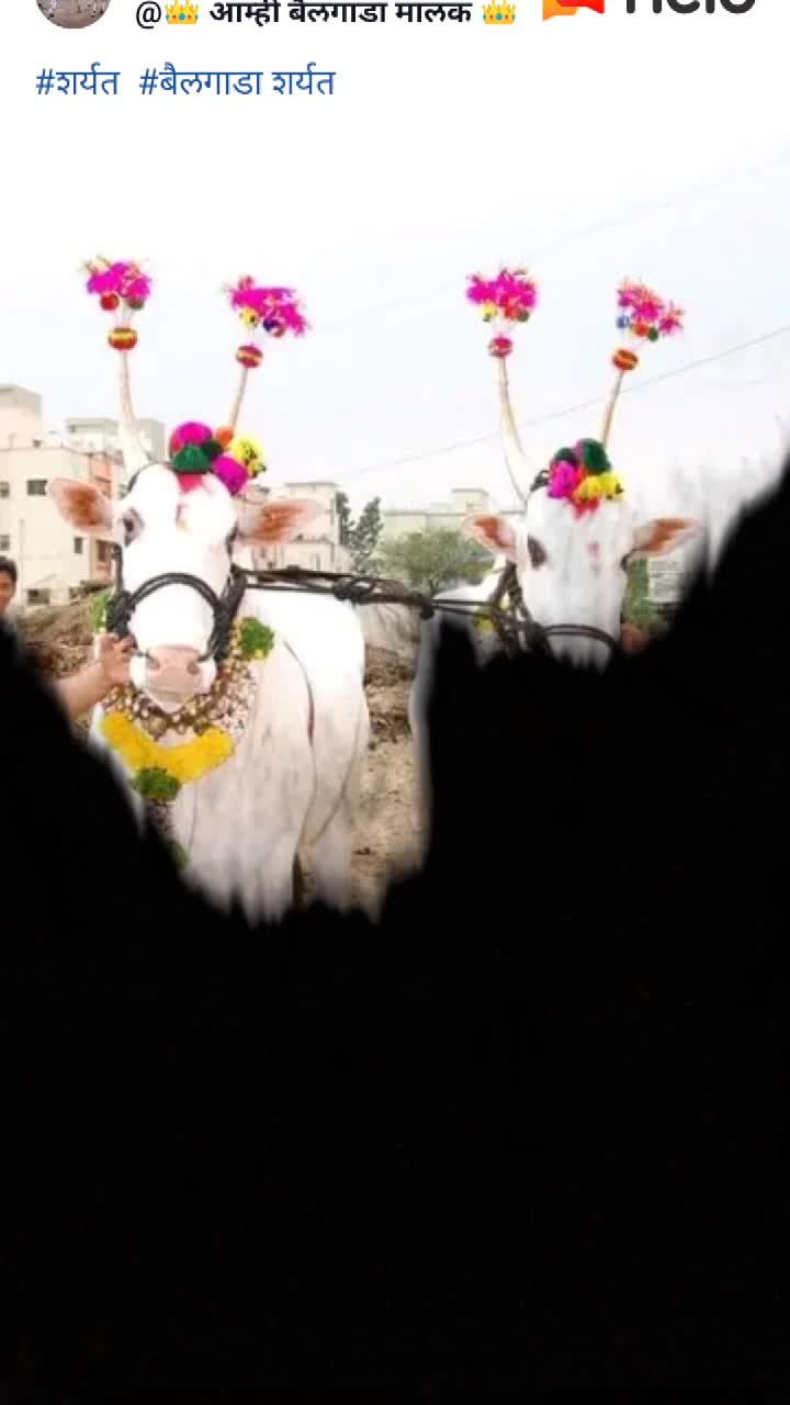 @shubhamgodase