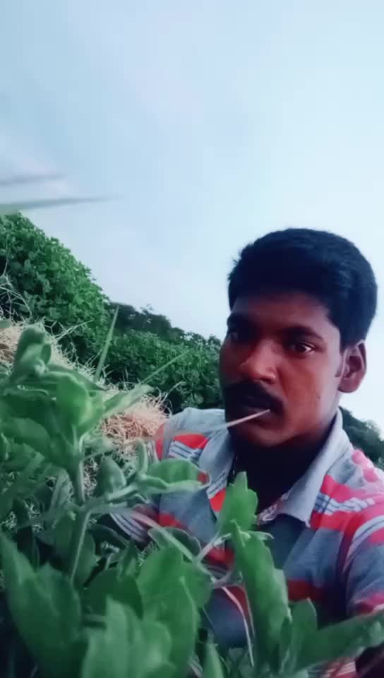 @Tik Toker