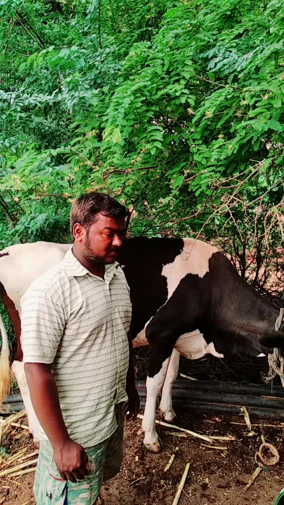 @Karabu Gonchikar