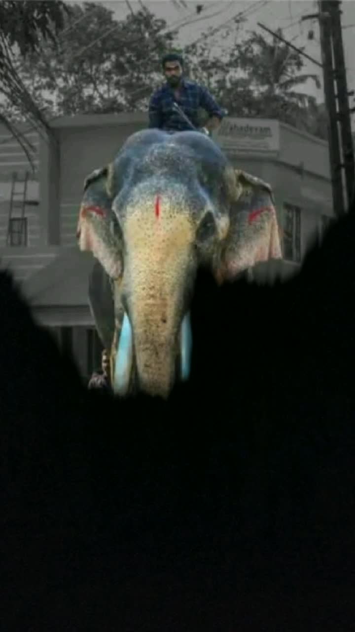 @ashin achoottan