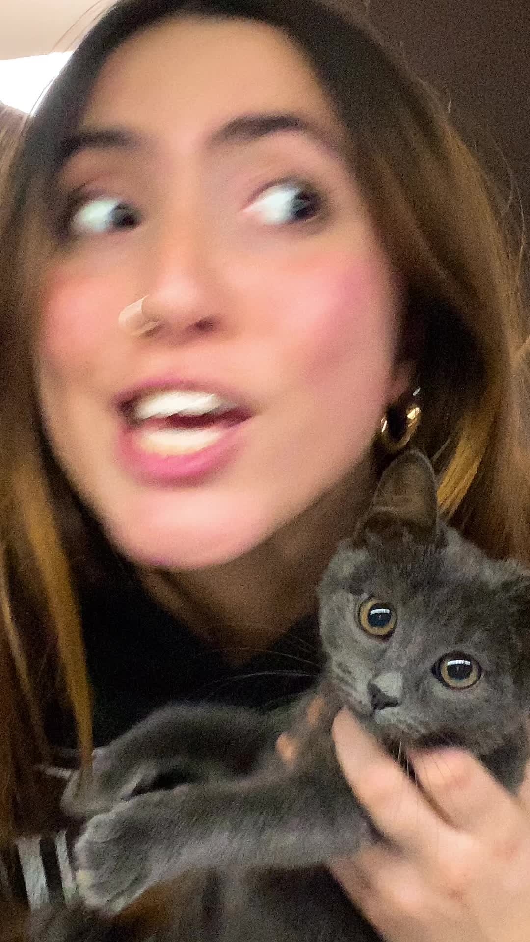 @danilacapponi