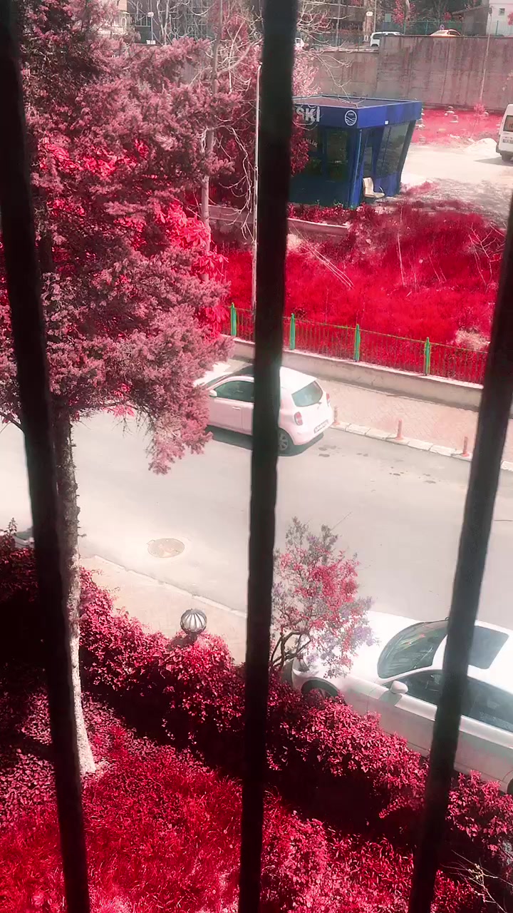 @slywolf