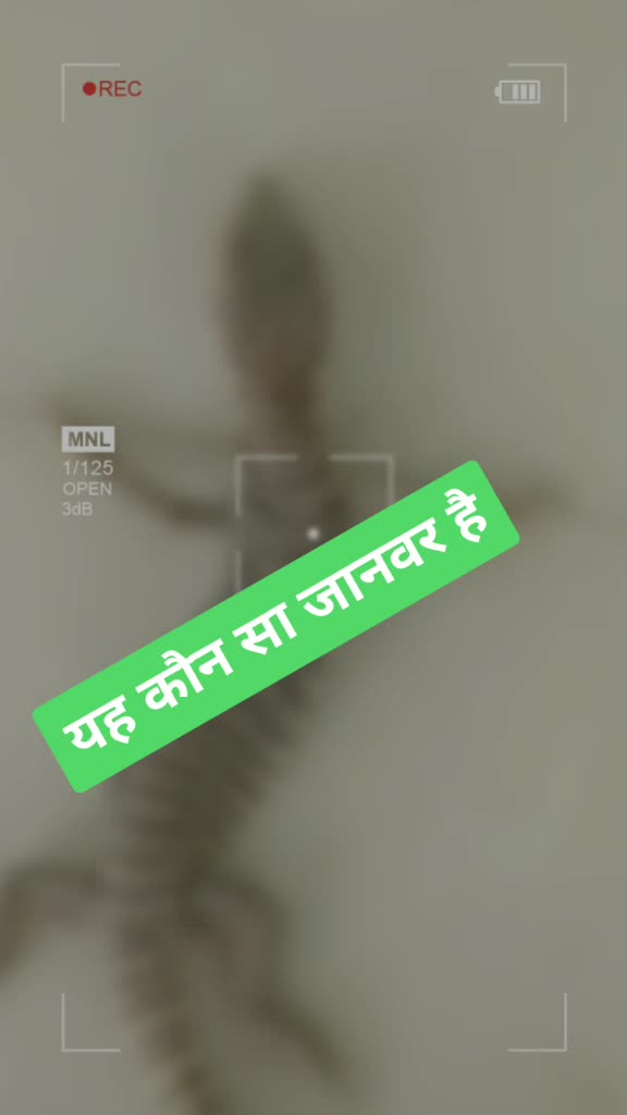 @user7959642587360