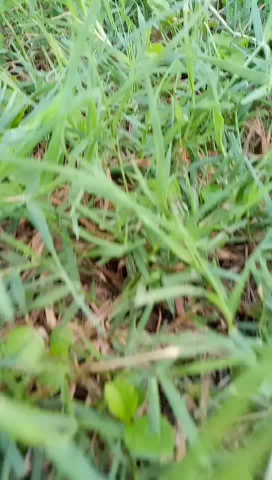 @🤩✌️ AL&Oslash;NE ✌️🤩
