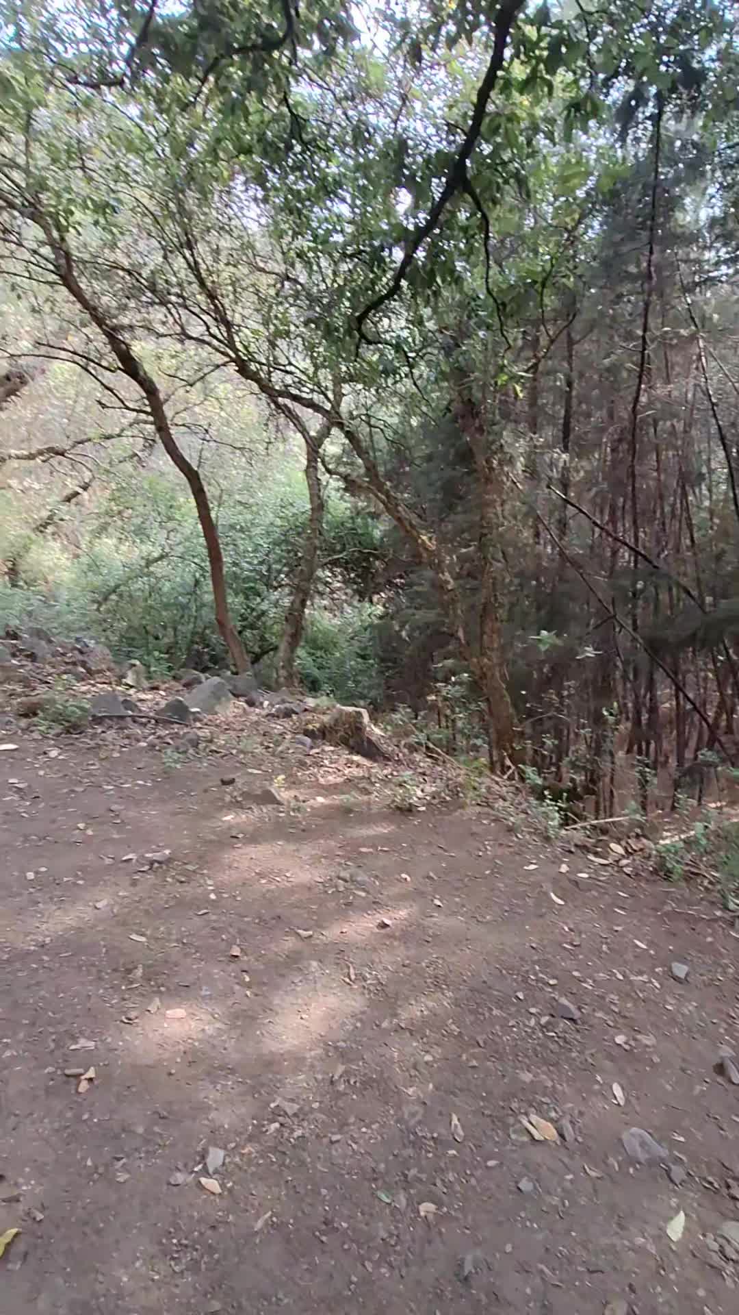 @Mario Avendaño