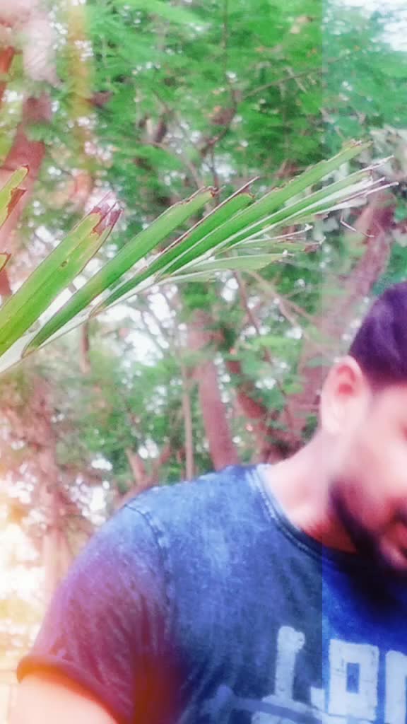 @vinod yadavser683513