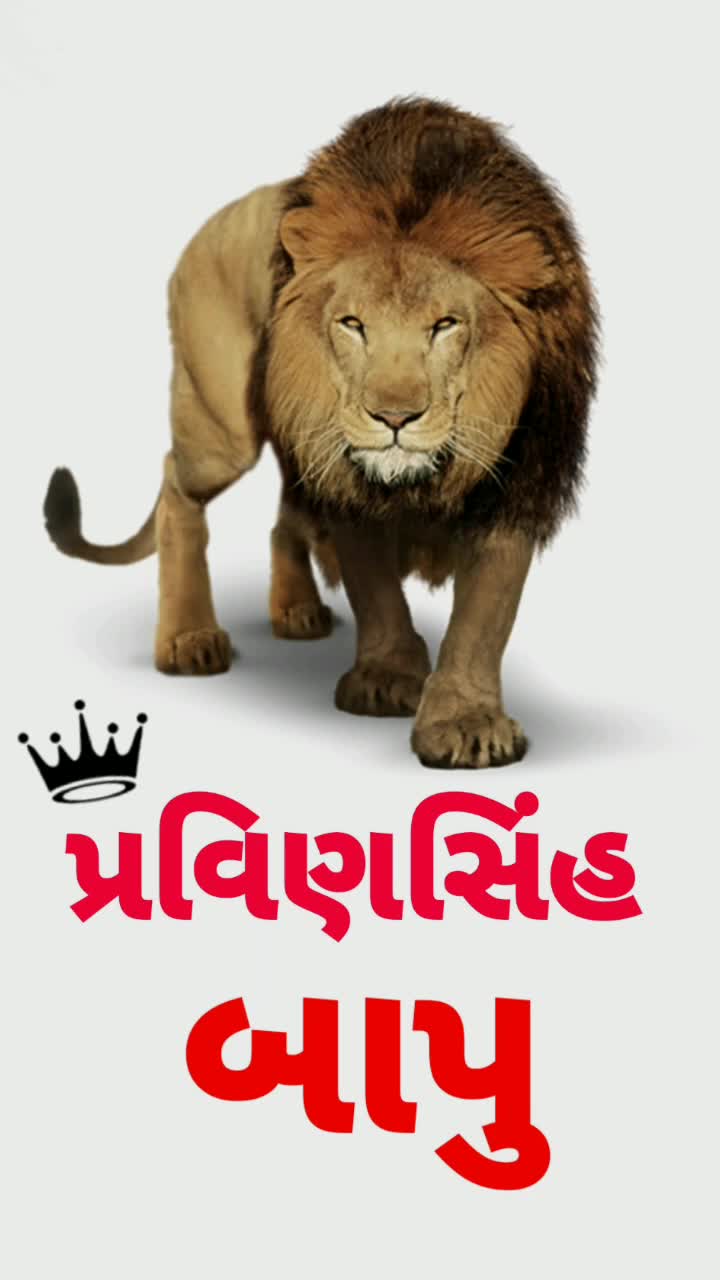 @vipulsinhvaghela
