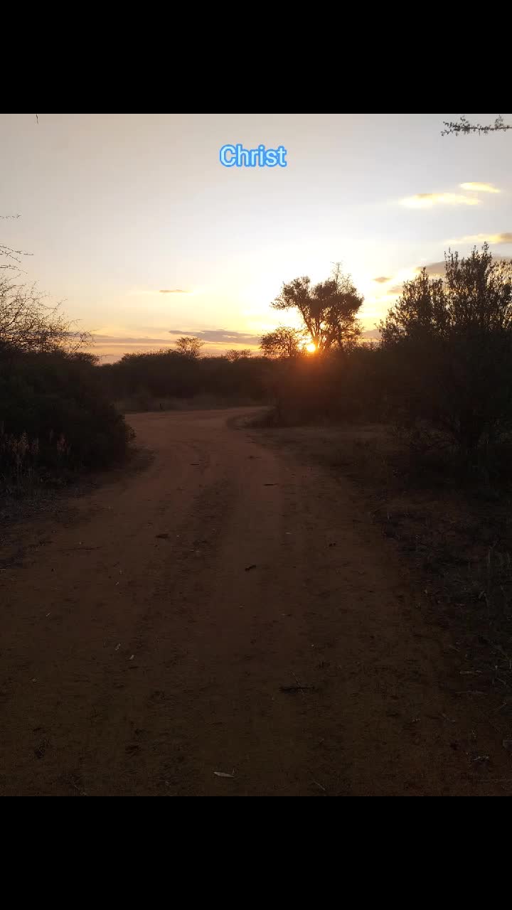 @M.J.A Serfontein