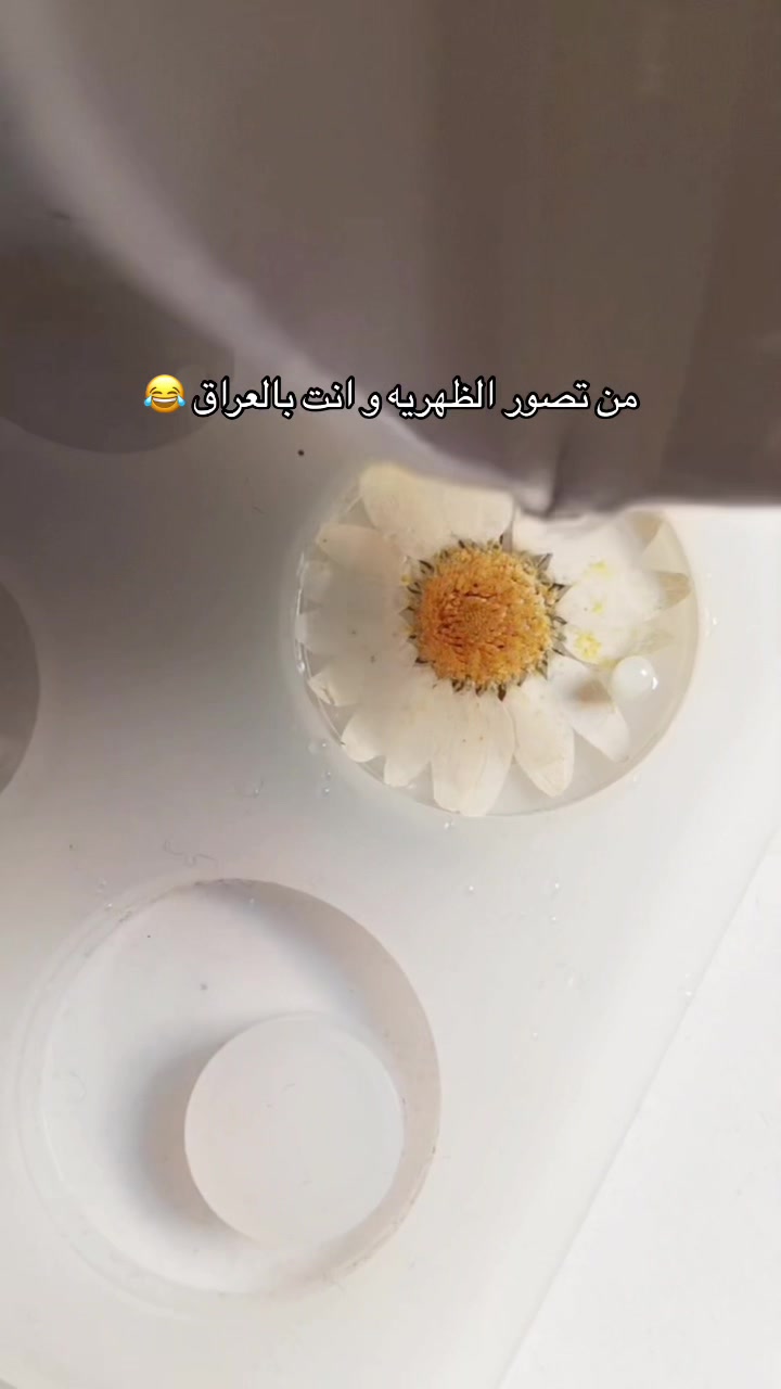 @frashastore1