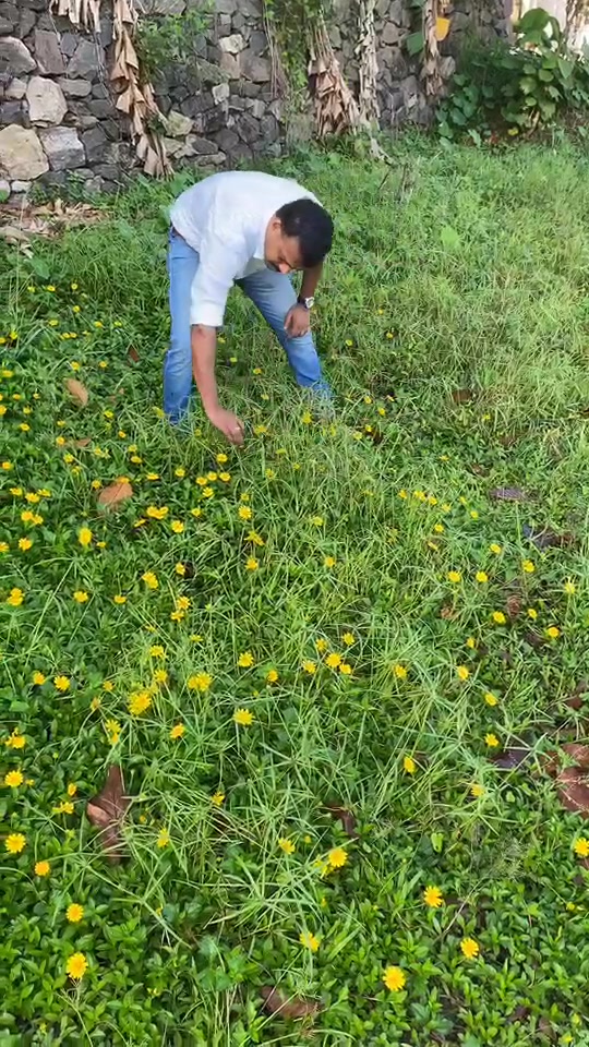 @Ansal Mohammed