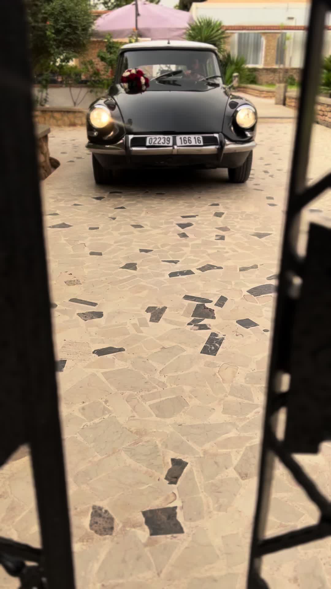 @Lesjardinsdewarda